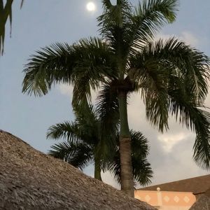 Meet your Posher, Lyndsy